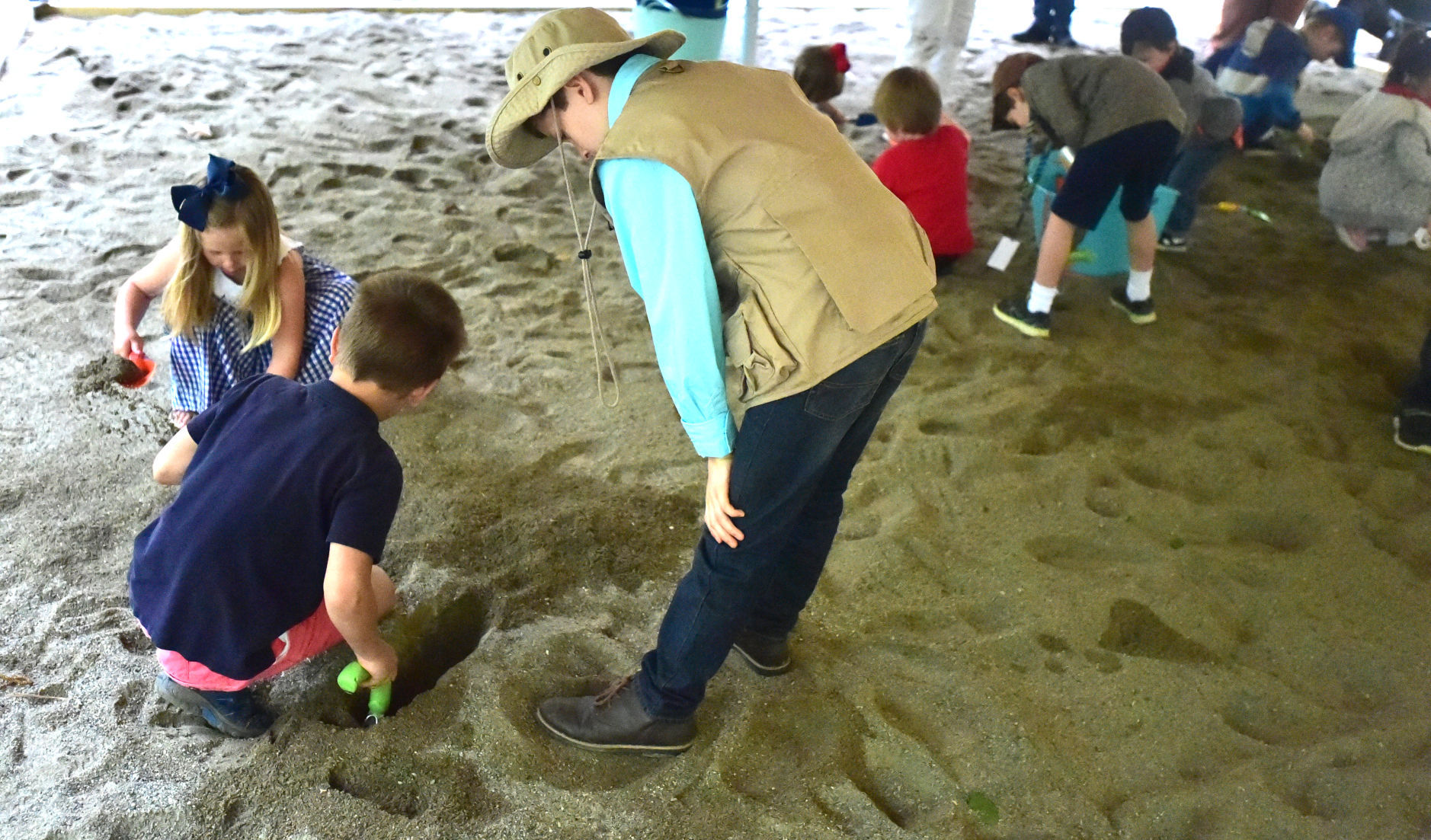 Digging for fossils